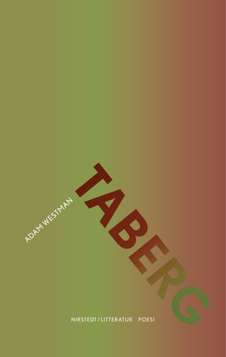 Taberg - picture