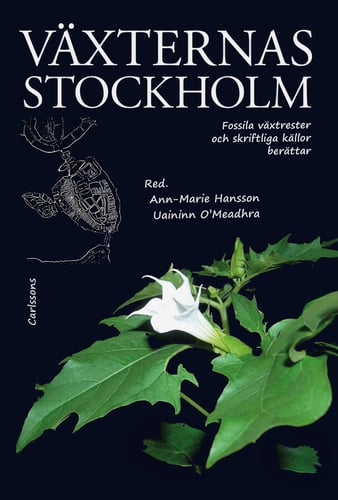 Växternas Stockholm : fossila växtrester och skriftliga källor berättar - picture