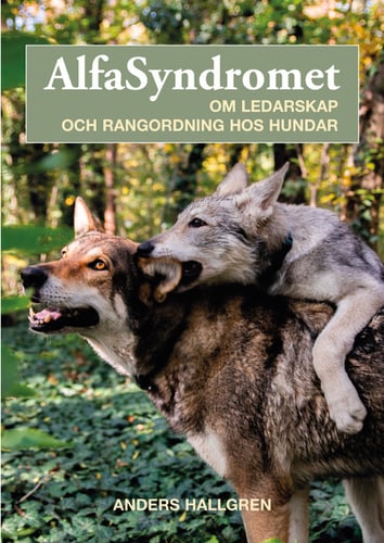 Alfasyndromet : om ledarskap och rangordning hos hundar - picture