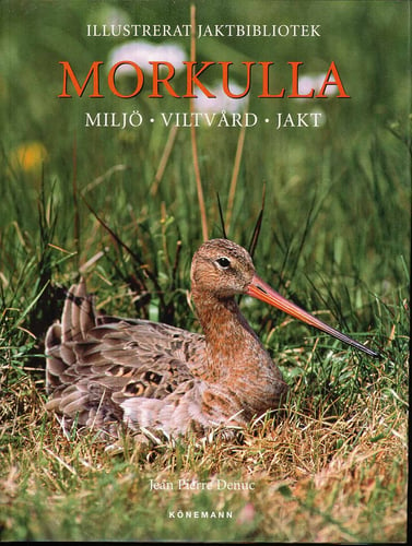 Morkulla : miljö - viltvård - jakt - picture
