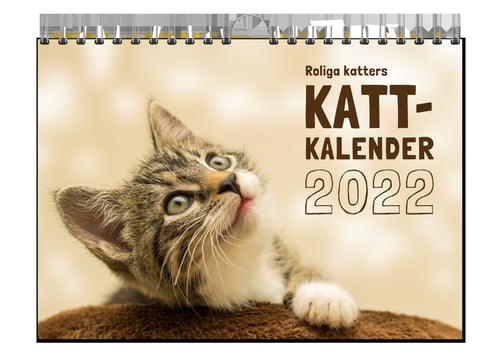 Roliga katters kattkalender 2022 - picture