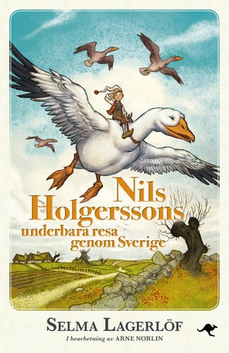 Nils Holgerssons underbara resa genom Sverige - picture