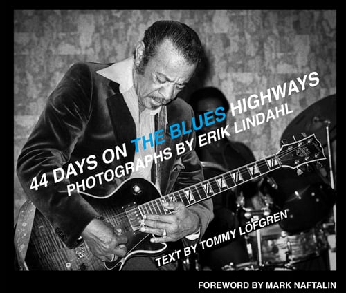 44 days on the blues highways - picture