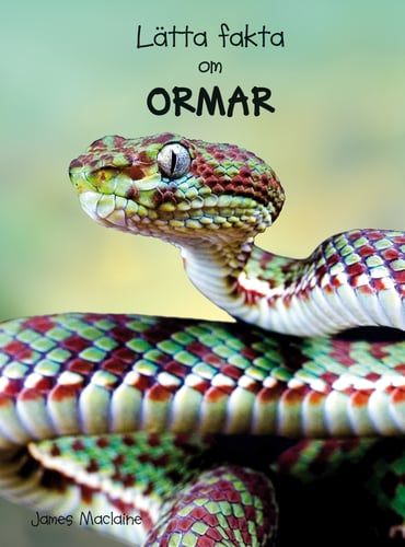 Lätta fakta om ormar - picture