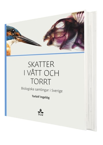 Skatter i vått och torrt : biologiska samlingar i Sverige_0