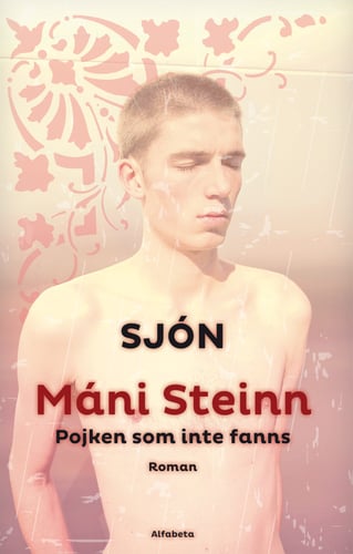 Máni Steinn : pojken som inte fanns_0