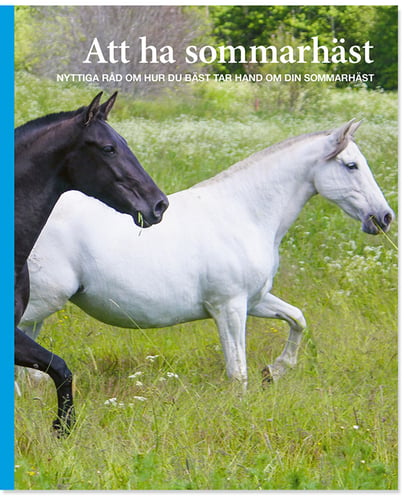 Att ha sommarhäst - picture