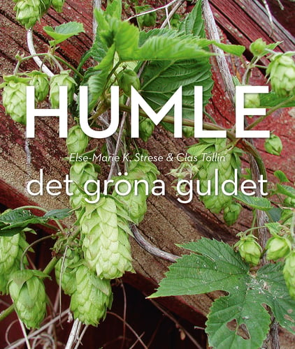 Humle : Det gröna guldet - picture