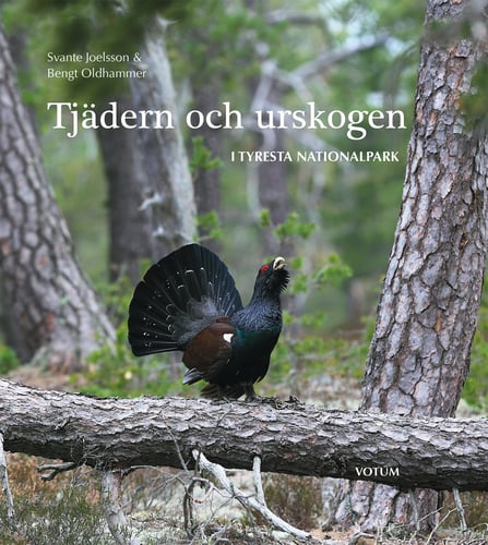 Tjädern och urskogen : i Tyresta nationalpark_0