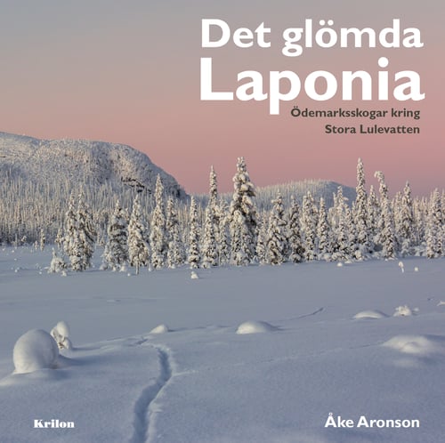Det glömda Laponia : Ödemarksskogar kring Stora Lulevatten - picture