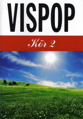 Vispop Kör 2 - picture