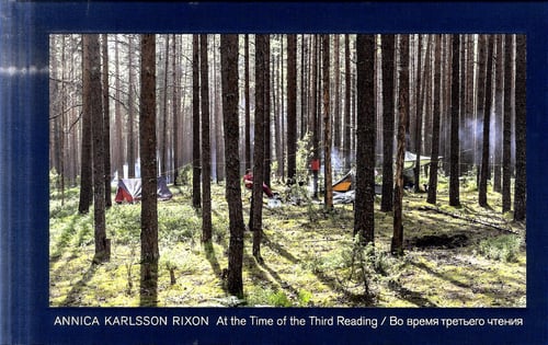 Annica Karlsson Rixon : At the time of the third reading - picture