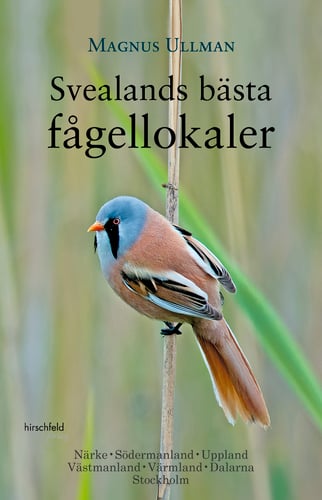 Svealands Bästa Fågellokaler - picture
