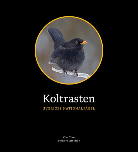 Koltrasten : Sveriges Nationalfågel_0