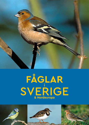 Fåglar i Sverige & Nordeuropa_0