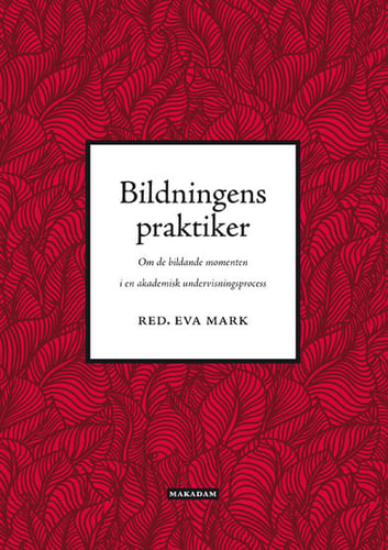 Bildningens praktiker : om de bildande momenten i en akademisk undervisningsprocess - picture