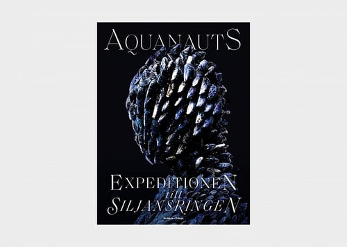 Aquanauts : expeditionen till Siljansringen - picture