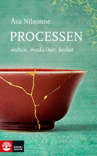 Processen : möten, mediciner, beslut_0