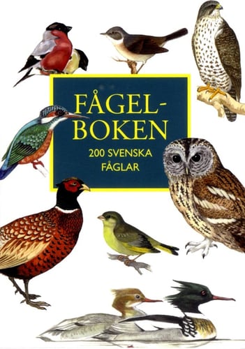 Fågelboken : 200 svenska fåglar - picture