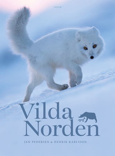 Vilda Norden - picture