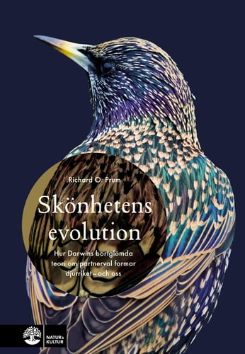 Skönhetens evolution : hur Darwins bortglömda teori om det sexuella urvalet formar djurriket - och oss - picture