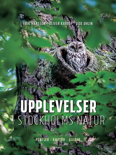 Upplevelser i Stockholms natur - picture