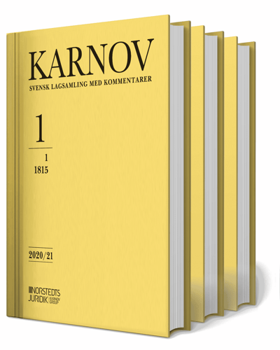 Karnov bokverk 2020/21 - picture
