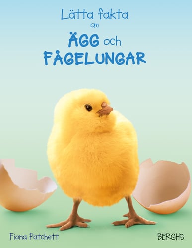 Lätta fakta om ägg och fågelungar - picture