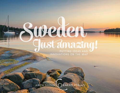 Sweden just amazing : putting ideas and innovations on the map - picture