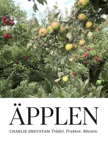 Äpplen : trädet, frukten, musten - picture