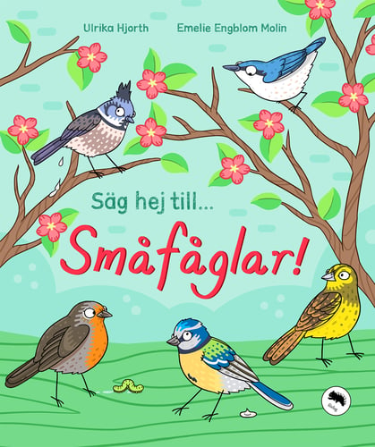 Säg hej till... småfåglar! - picture