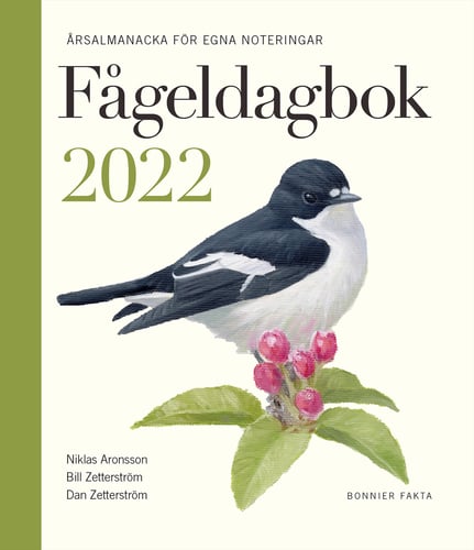 Fågeldagbok 2022 : årsalmanacka för egna noteringar - picture