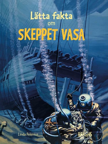 Lätta fakta om skeppet Vasa - picture