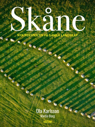 Skåne : nya perspektiv på gamla landskap - picture