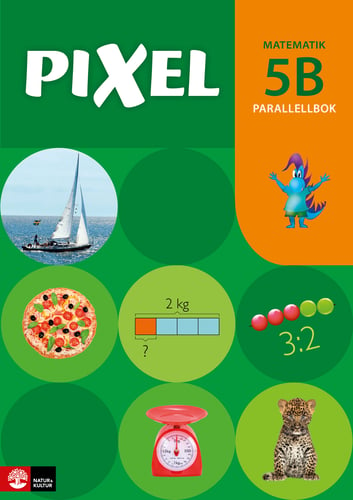 Pixel 5B Parallellbok, andra upplagan_0