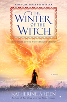 The Winter of the Witch - picture