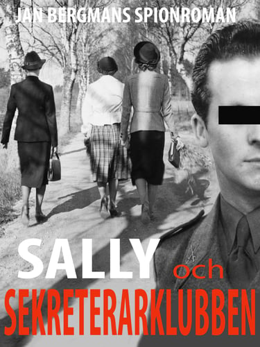Sally och Sekreterarklubben : sekreterarklubben 1½ - picture