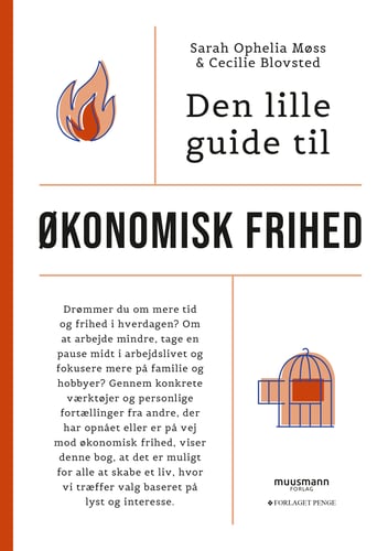 Den lille guide til økonomisk frihed - picture