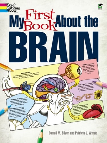 My First Book About the Brain_0
