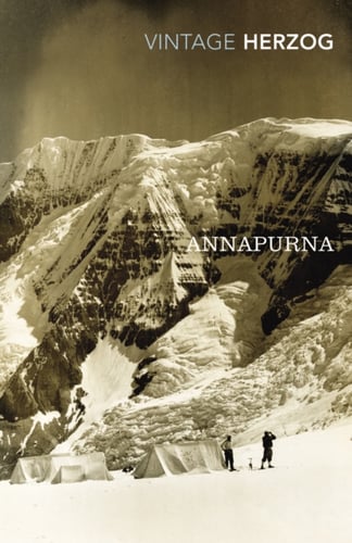 Annapurna - picture