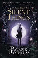 The Slow Regard of Silent Things - picture