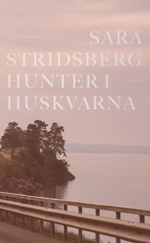 Hunter i Huskvarna - picture