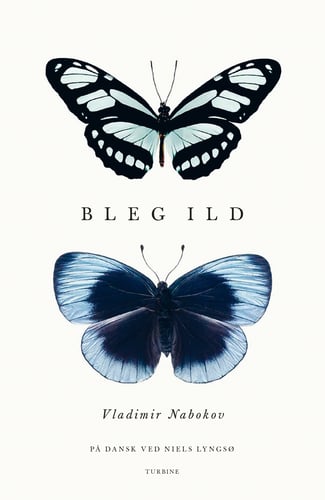 Bleg ild