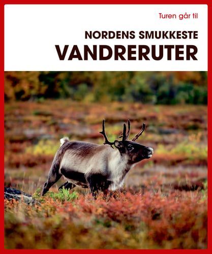 Turen går til Nordens smukkeste vandreruter - picture