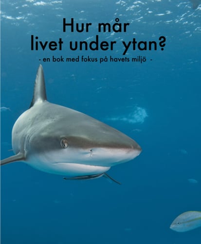 Hur mår livet under ytan? : en bok med fokus på havets miljö - picture