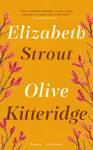 Olive Kitteridge - picture