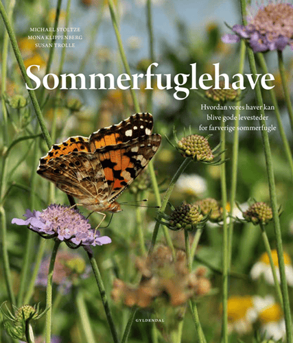 Sommerfuglehave - picture
