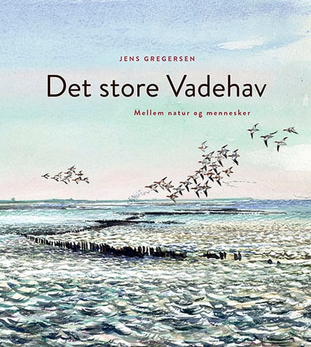 Det store Vadehav_0