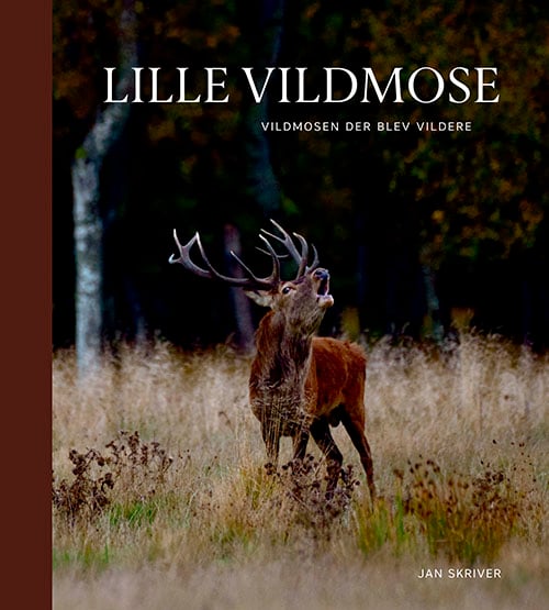 Lille Vildmose_0