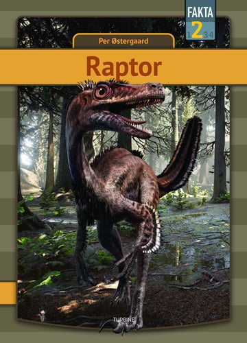 Raptor - picture